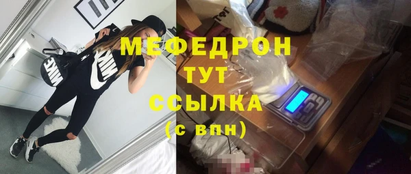 прущие грибы Михайлов