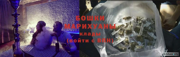 прущие грибы Михайлов
