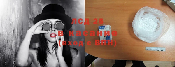 стафф Михайловск