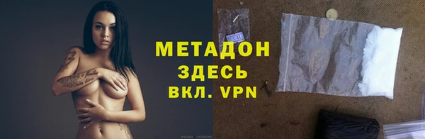 прущие грибы Михайлов