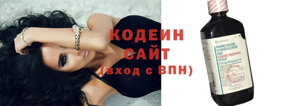 прущие грибы Михайлов