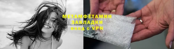 прущие грибы Михайлов