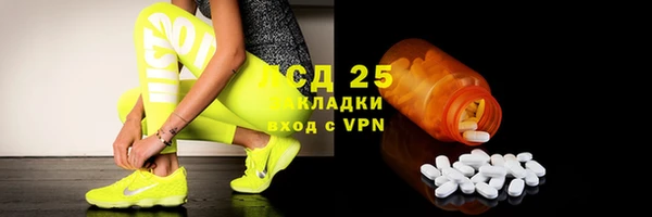 прущие грибы Михайлов