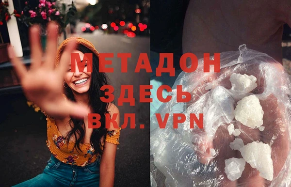 прущие грибы Михайлов