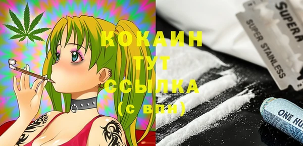 стафф Михайловск