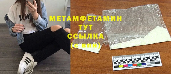 прущие грибы Михайлов